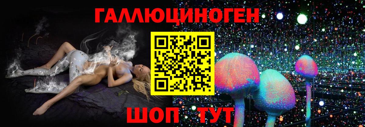 Галлюциногенные грибы Psilocybe  Псилоцибиновые грибы MAGIC MUSHROOMS  Вход с VPN  Озёрск 